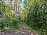 Your Private Northwoods Base Camp - 5.1 Acres Near Crandon, WI