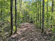 Your Private Northwoods Base Camp - 5.1 Acres Near Crandon, WI Your Private Northwoods Base Camp - 5.1 Acres Near Crandon, WI