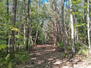 Your Private Northwoods Base Camp - 5.1 Acres Near Crandon, WI Your Private Northwoods Base Camp - 5.1 Acres Near Crandon, WI