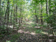 Your Private Northwoods Base Camp - 5.1 Acres Near Crandon, WI Your Private Northwoods Base Camp - 5.1 Acres Near Crandon, WI