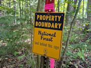 3 Acres Bordering Nicolet National Forest in Northern, WI 3 Acres Bordering Nicolet National Forest in Northern, WI