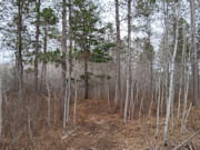10 Acres of Buildable Wooded Land Near Tomahawk - Close to Lake Nokomis 10 Acres of Buildable Wooded Land Near Tomahawk - Close to Lake Nokomis