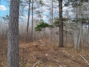 10 Acres of Buildable Wooded Land Near Tomahawk - Close to Lake Nokomis 10 Acres of Buildable Wooded Land Near Tomahawk - Close to Lake Nokomis
