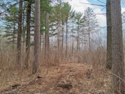 10 Acres Near Tomahawk - Buildable Land by Public Forest, Rivers & Lakes