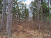 10 Acres Near Tomahawk - Buildable Land by Public Forest, Rivers & Lakes