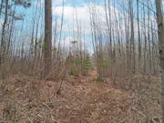 10 Acres Near Tomahawk - Buildable Land by Public Forest, Rivers & Lakes 10 Acres Near Tomahawk - Buildable Land by Public Forest, Rivers & Lakes