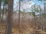 10 Acres Near Tomahawk - Buildable Land by Public Forest, Rivers & Lakes 10 Acres Near Tomahawk - Buildable Land by Public Forest, Rivers & Lakes