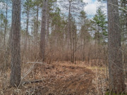 10 Acres Near Tomahawk - Buildable Land by Public Forest, Rivers & Lakes 10 Acres Near Tomahawk - Buildable Land by Public Forest, Rivers & Lakes