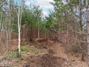 10 Acres Adjoining State Land Near Tomahawk - Buildable Privacy by Lake Nokomis