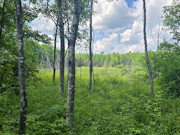 20 Acres of Buildable Wooded Land Near Tomahawk - Close to Lake Nokomis