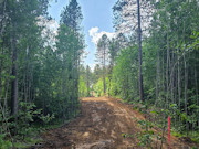 20 Acres Adjoining State Land Near Tomahawk - Buildable Privacy by Lake Nokomis
