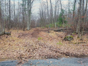 3-Acre Wooded Property Near Crivitz, WI - Your Northwoods Escape!