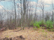 3-Acre Wooded Property Near Crivitz, WI - Your Northwoods Escape!