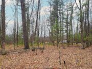 8-Acre Northeast Wisconsin Wooded Property For Sale!