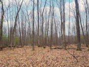 8-Acre Northeast Wisconsin Wooded Property For Sale!