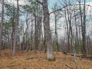 3-Acre Marinette County Wooded Land for Sale!