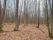 3 Acres For Sale in Marinette County - Near Amberg, WI!