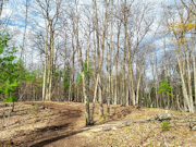 View the New Listing