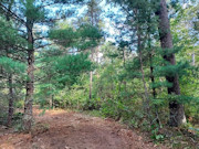 3.5 Acres Near Adams-Friendship, WI and Castle Rock Lake