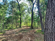 3.5 Acres Near Adams-Friendship, WI and Castle Rock Lake