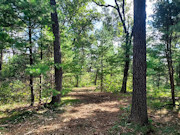 3.5 Acres Near Adams-Friendship, WI and Castle Rock Lake