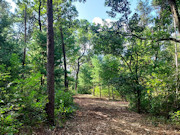 1.3 Acres For Sale near Big Roche-A-Cri Lake