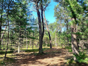 1.3 Acres For Sale near Big Roche-A-Cri Lake