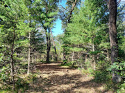1.3 Acres For Sale near Big Roche-A-Cri Lake