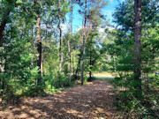 Adams County, WI Land for Sale - 1.3 Acres