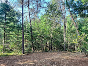 Adams County, WI Land for Sale - 1.3 Acres