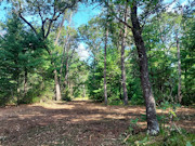 Adams County, WI Land for Sale - 1.3 Acres