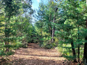 Adams County, WI Land for Sale - 1.3 Acres