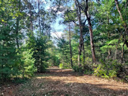 Adams County, WI Land for Sale - 1.3 Acres