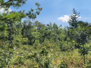 2.4-Acre Secluded Land - Hunting, Hiking, & Fishing