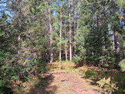 10 Acres Near Tomahawk, WI - Hunt, Camp & Build Near Lake Mohawksin
