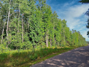 10 Acres Near Tomahawk, WI - Hunt, Camp & Build Near Lake Mohawksin
