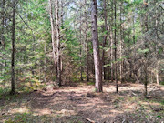 10 Acres Near Tomahawk, WI - Wooded Land with Lakes, Trails & Public Land Nearby 10 Acres Near Tomahawk, WI - Wooded Land with Lakes, Trails & Public Land Nearby