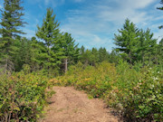 8.5 Acres of Buildable Land Near Tomahawk, WI - Camp, Hunt & Build 8.5 Acres of Buildable Land Near Tomahawk, WI - Camp, Hunt & Build