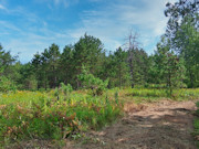 8.5 Acres of Buildable Land Near Tomahawk, WI - Camp, Hunt & Build 8.5 Acres of Buildable Land Near Tomahawk, WI - Camp, Hunt & Build