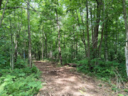 10 Acres Near Danbury, WI - St. Croix River, Trails & Buildable Land