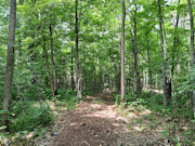 10 Acres Near Danbury, WI - St. Croix River, Trails & Buildable Land