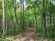 10 Acres Near Danbury, WI - St. Croix River, Trails & Buildable Land