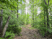 Buildable 8-Acre Recreational Property Near Minong Flowage in Dairyland, Wisconsin Buildable 8-Acre Recreational Property Near Minong Flowage in Dairyland, Wisconsin
