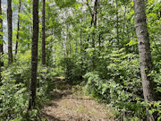 Buildable 8-Acre Recreational Property Near Minong Flowage in Dairyland, Wisconsin Buildable 8-Acre Recreational Property Near Minong Flowage in Dairyland, Wisconsin