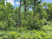 Nearly 2 Acres with Fishtrap Lake Access Near Winter, WI Nearly 2 Acres with Fishtrap Lake Access Near Winter, WI