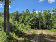 Nearly 2 Acres with Fishtrap Lake Access Near Winter, WI Nearly 2 Acres with Fishtrap Lake Access Near Winter, WI