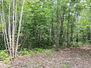 5+ Acres Near Gordon, WI - Buildable Northwoods Land 5+ Acres Near Gordon, WI - Buildable Northwoods Land