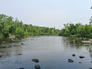 5+ Acres Near Gordon, WI - Buildable Northwoods Land 5+ Acres Near Gordon, WI - Buildable Northwoods Land