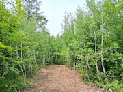 10 Acres Near Minong, WI - Wooded Land Surrounded by Recreation