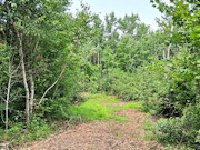 10 Acres Near Minong, WI - Wooded Land Surrounded by Recreation